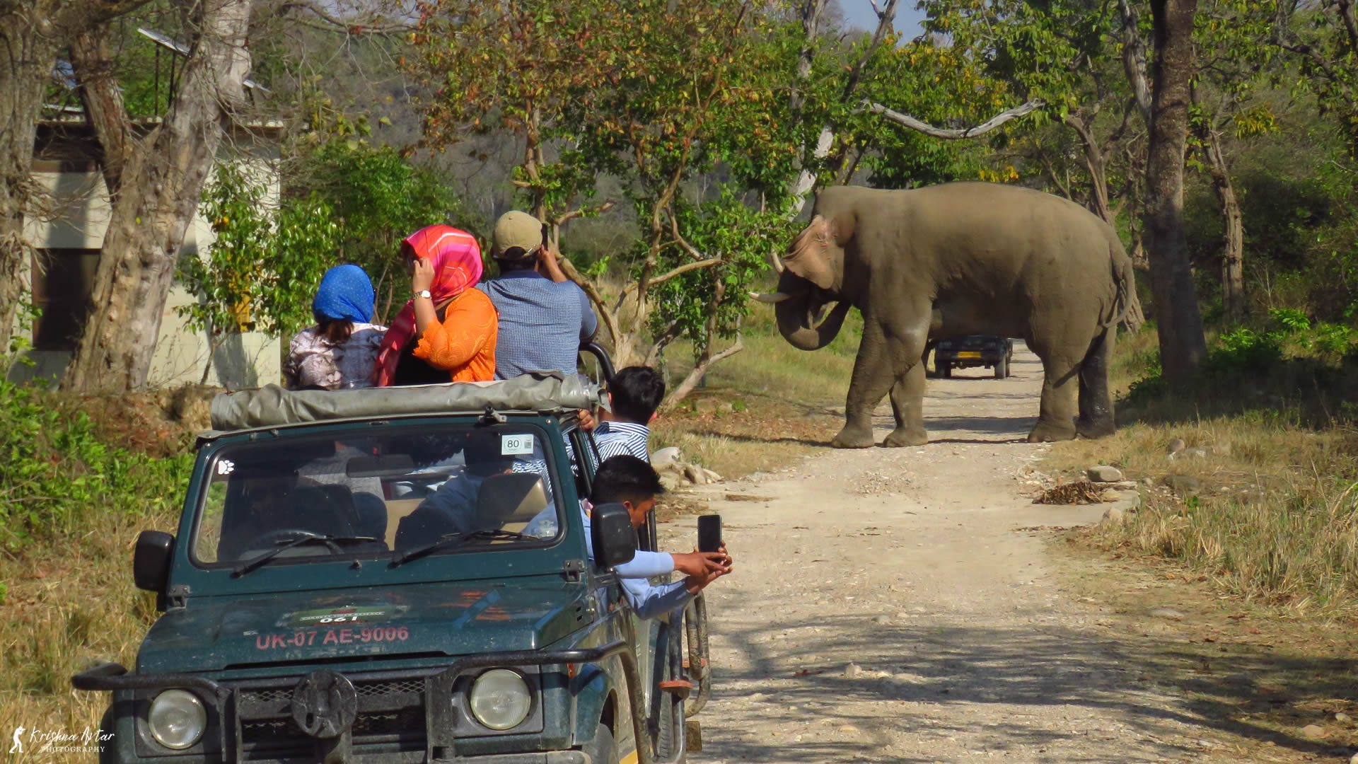 Jhirna Safari Zone