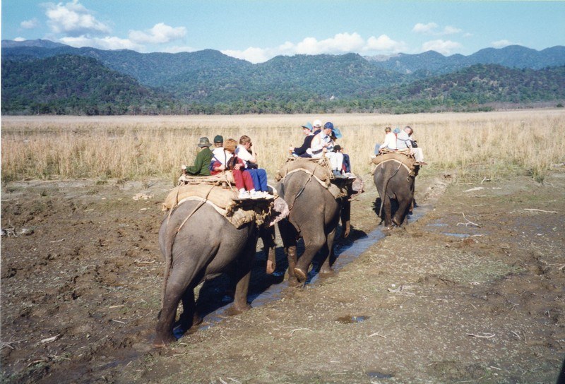 Dhela Safari Zone