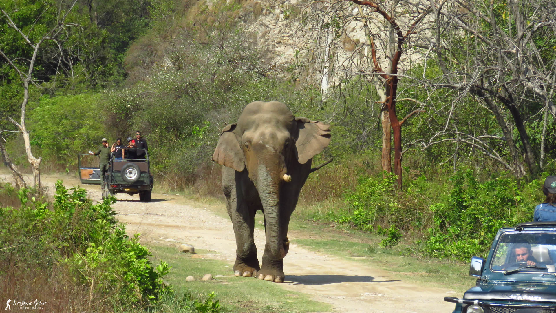 Dhela Safari Zone