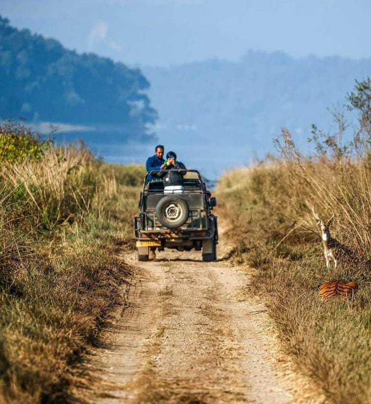Dhela Safari Zone